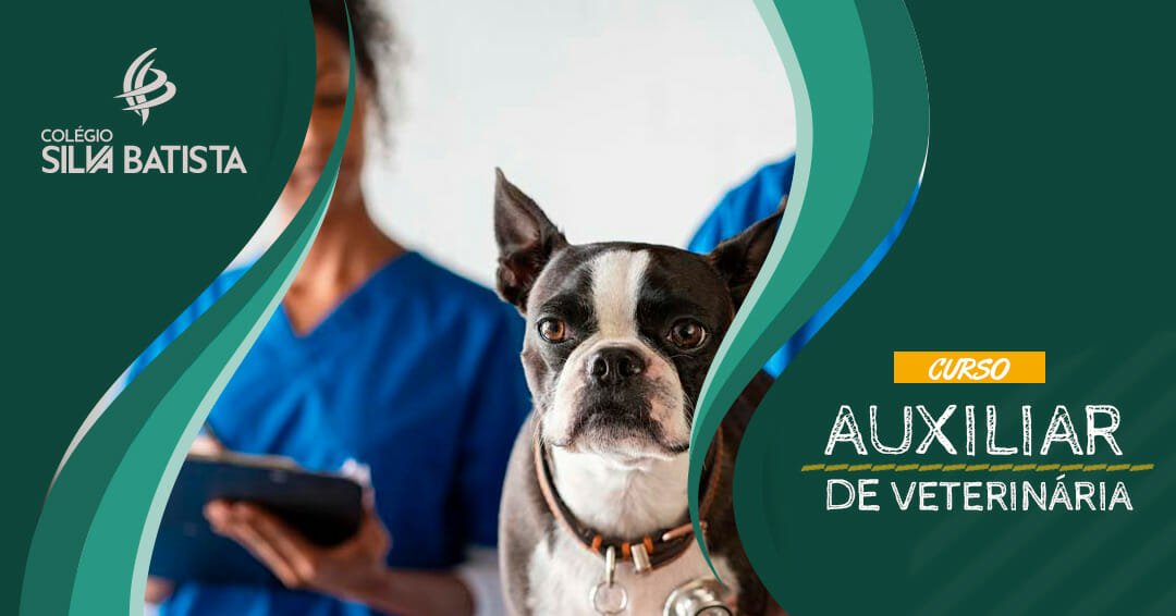 Auxiliar de Veterinária